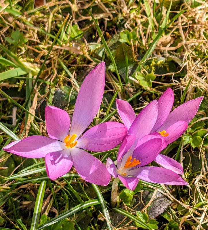 PXL_20240415_190120505.MP