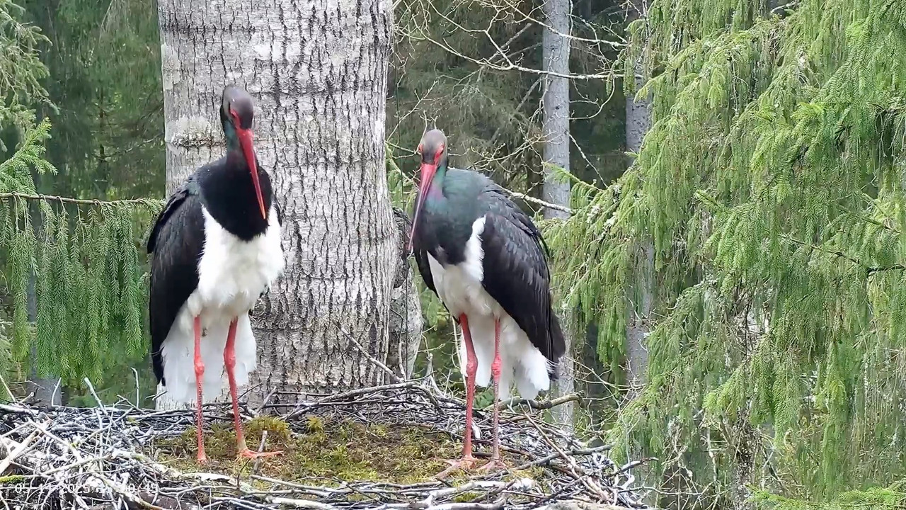 A_screenshot_1747224075938