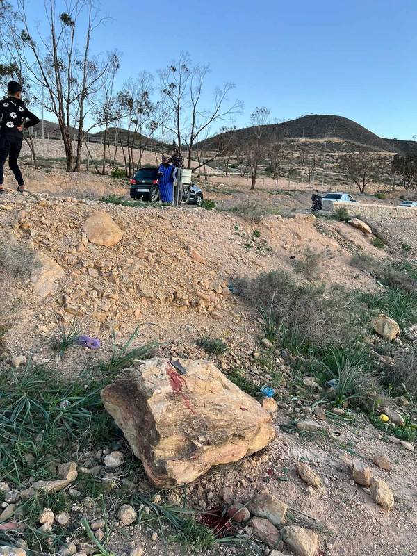 651365656-920739334037525-5671837589163555397-n