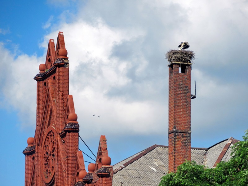 Возвращение в Калининград и... в Кёнигсберг. Маленькие городки бывшей Пруссии