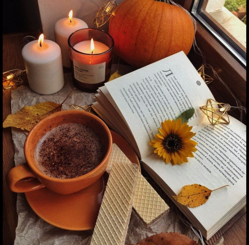 Screenshot_20251002_210634_Pinterest