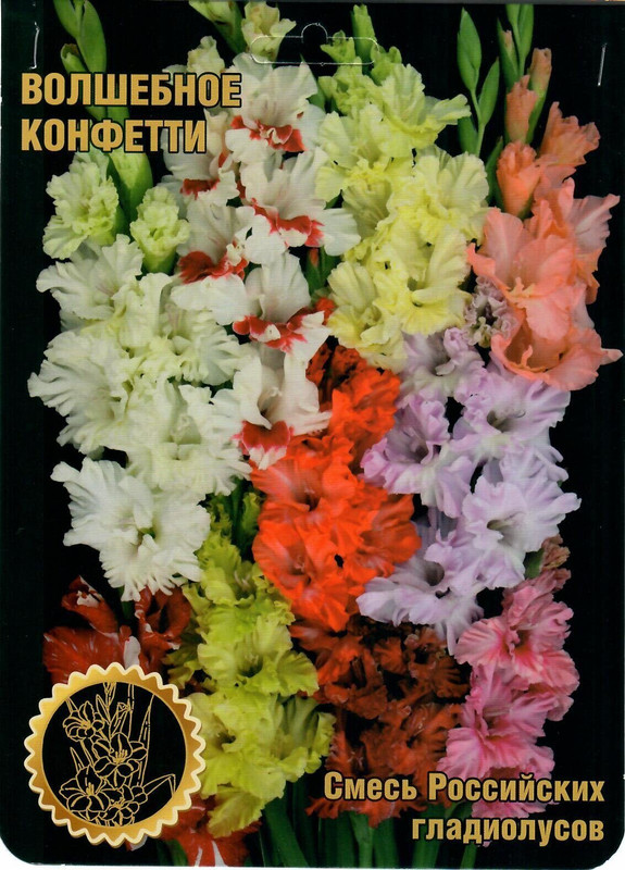 волшебное конфети