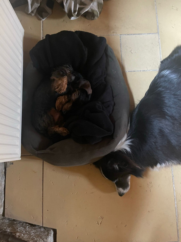 [Image: IMG-20240118-WA0007.jpg]