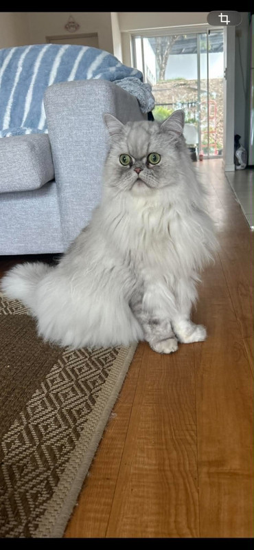 seba