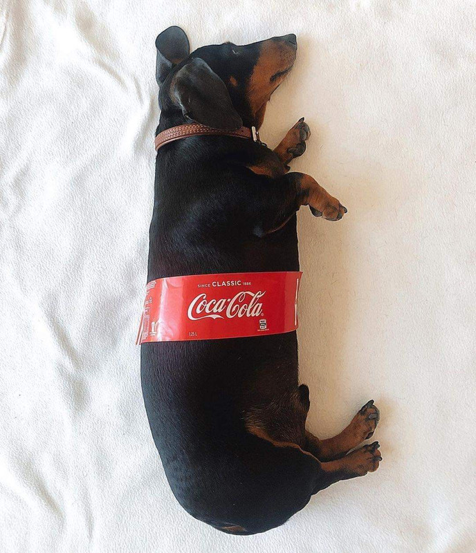 [Image: FB-IMG-1645467655333.jpg]