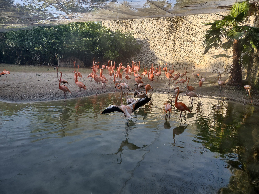 IMG_20230228_173950950_HDR