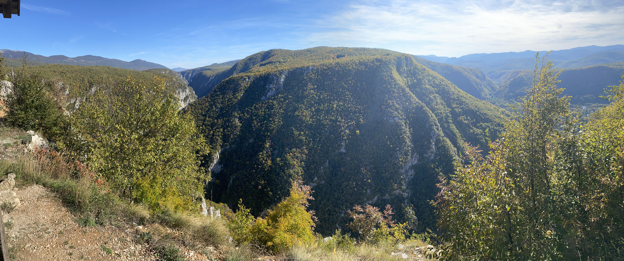 IMG-7585.jpg