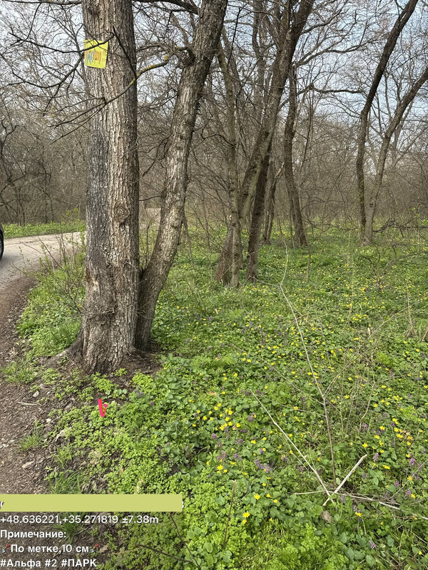 photo 3 2026 04 02 18 10 59