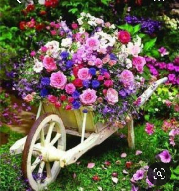 Screenshot_20230616_181732_Pinterest