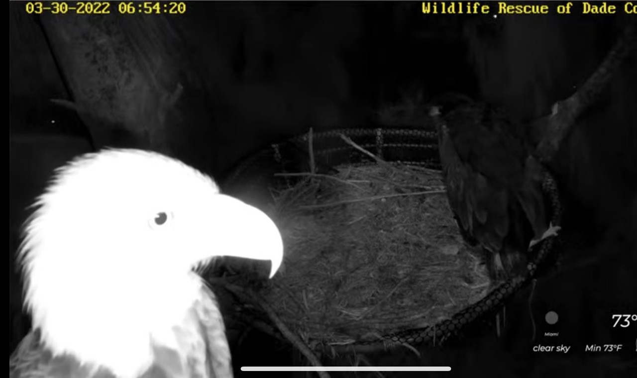 168642DD-7871-4F3E-BEB7-BFE85D8A20EA