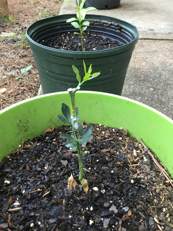 5748CBFF-2BEC-49B7-9E88-DD023805CAA6