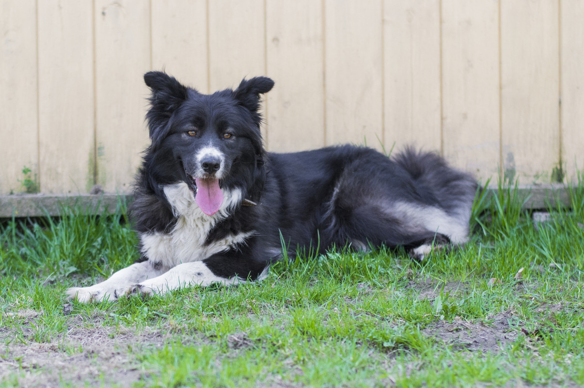 Фортуна_04_19_м5