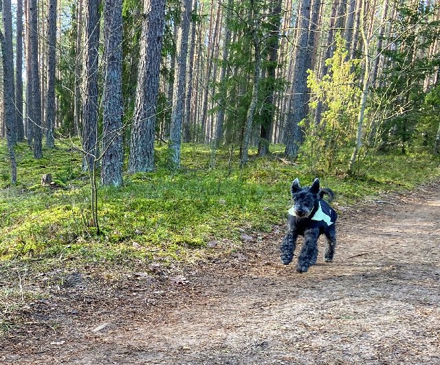 D8-EF23-C1-9-D44-48-FC-989-F-7-EA7-DD006