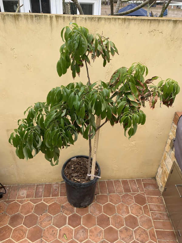 C488A183-B4ED-4BE8-9F18-8E9DE16588A0