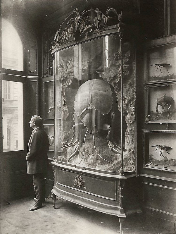 MUSEUM CARNAVALIS