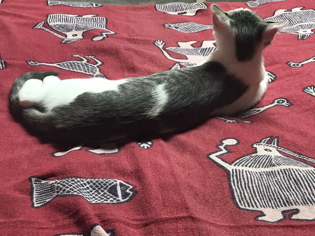 B255D1EF-8606-4244-BF99-9E8FBB0622E8