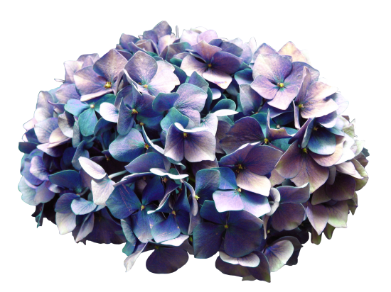 Magic Fairy Garden (45)