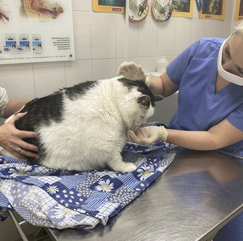 7D2C34DD-4E62-4B1D-A342-27D96B2BDDDE