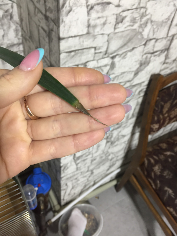 2B318E92-56A6-4567-A95E-8D065AE481CD