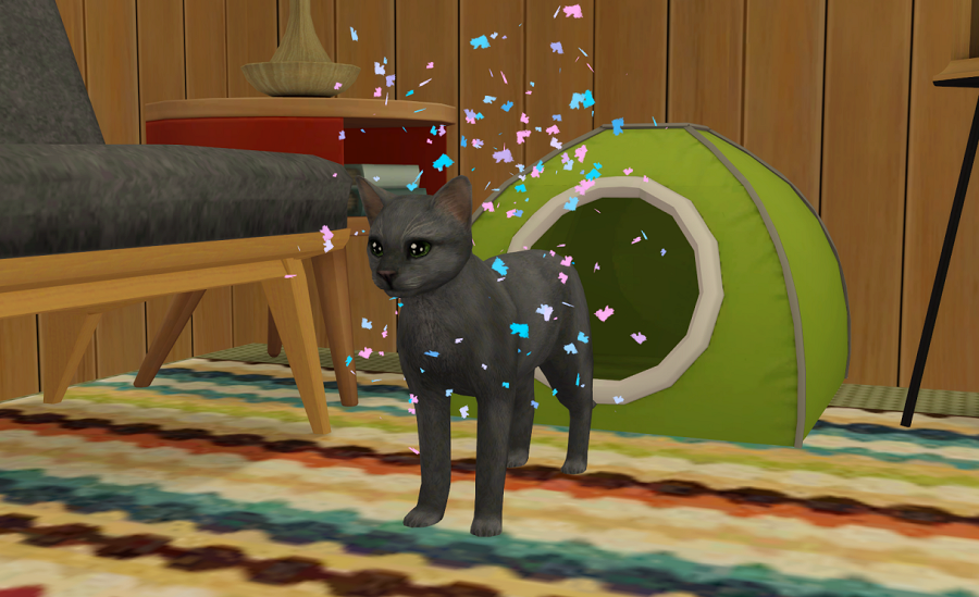 Sims2-EP9-RPC-2021-05-16-14-15-36-80