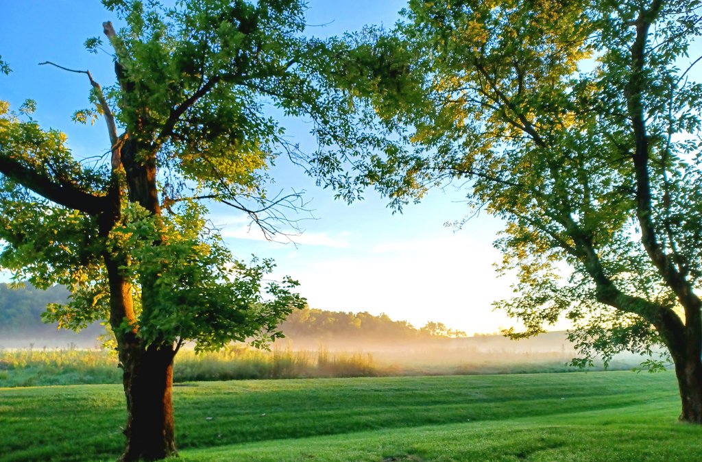 External inline image provided by member with no explanatory text