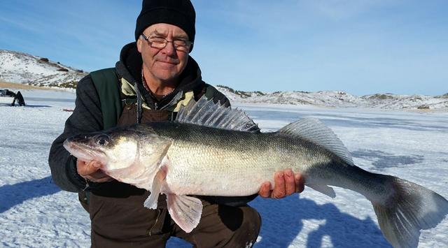 dads walleye