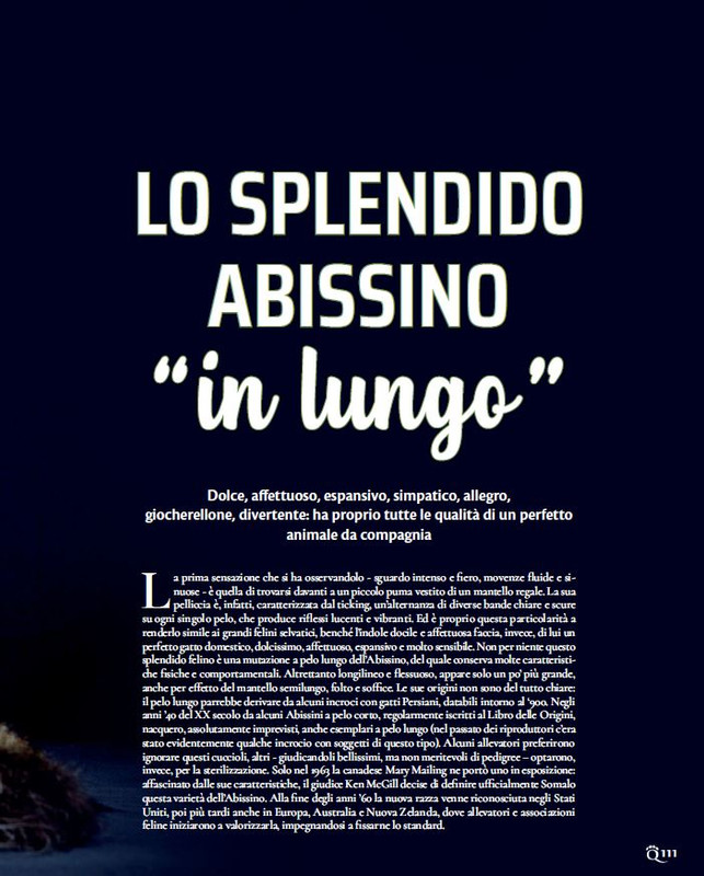 QuattroZampe Feb 2022 (10)