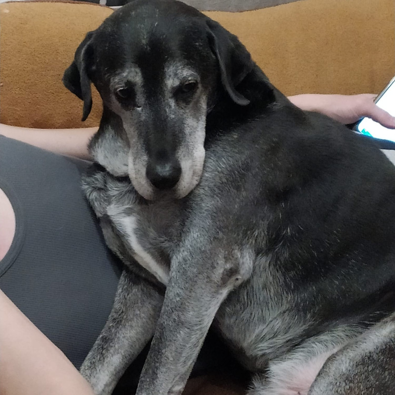 9DF17131-20E2-4038-993D-BF96DCD8565F