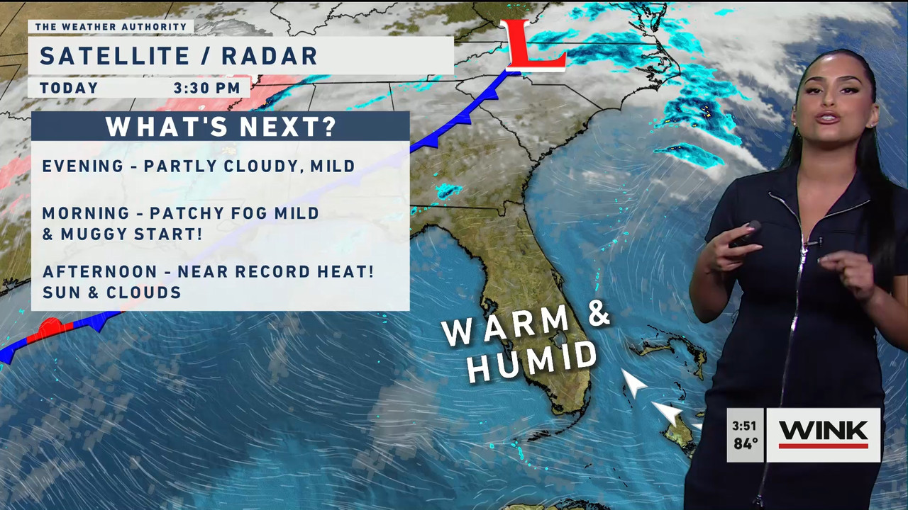 01.31 - 20.00.00 - WINK News at 3pm  ᴺᵉʷ..ts_snapshot_00.57.49.182