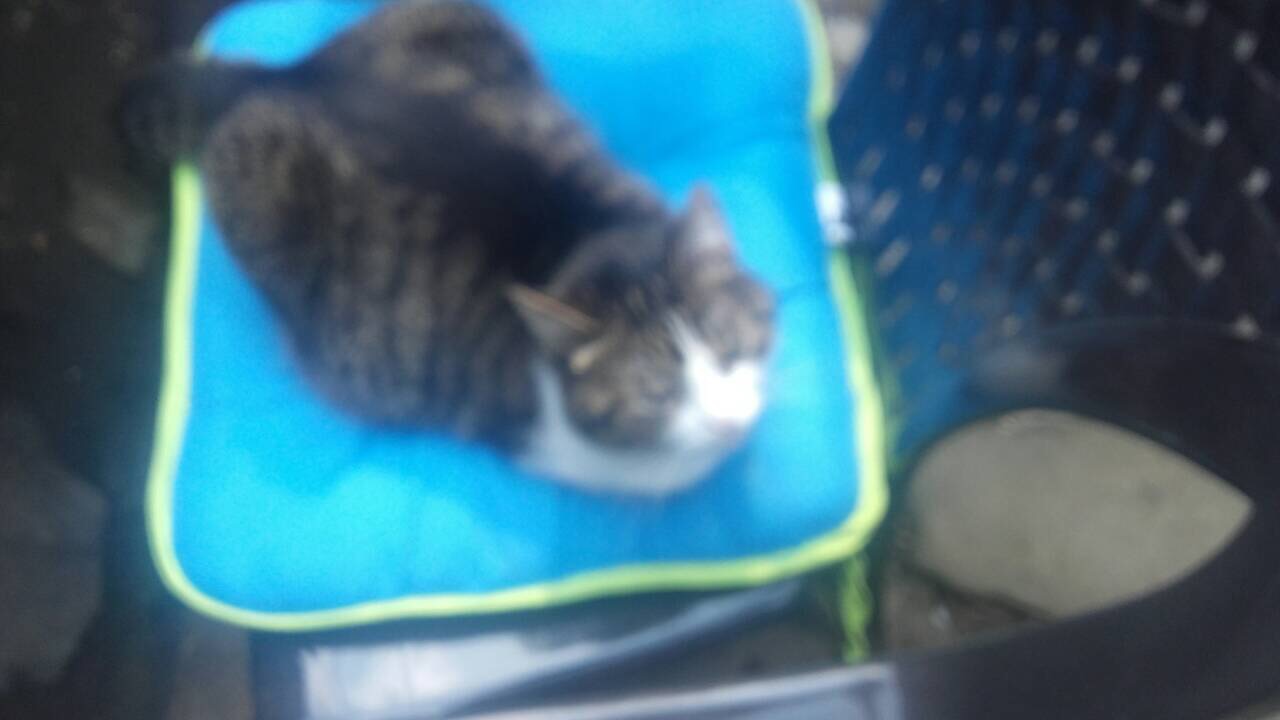 DE92DA34-6BAD-4615-9764-29D3FD2BC8B3