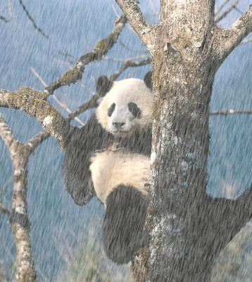 b8d19194-7c82-4403-bede-1b2e0d03a90b