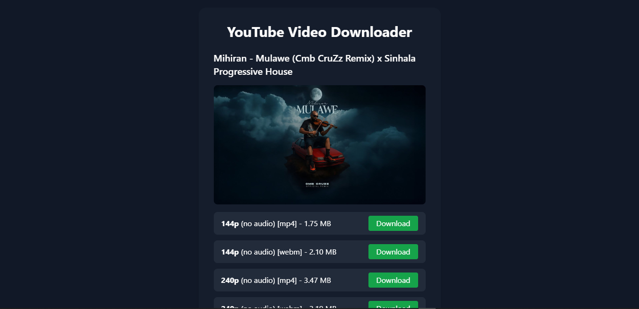 YouTube Downloader Screenshot 2