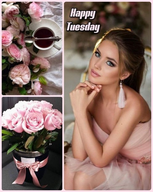 TUESDAY-mardi-39