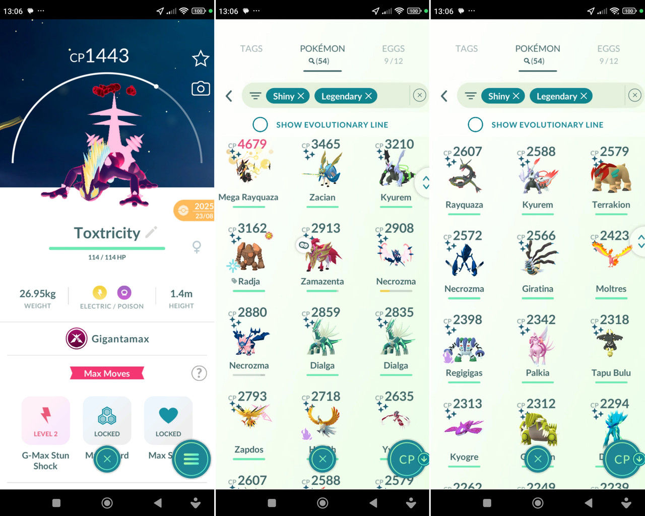 Polish 20260217 131600612