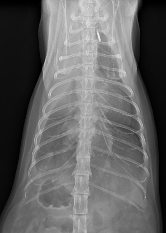 B3FEE56B-9D47-4876-AD19-68EF2F52CA1A