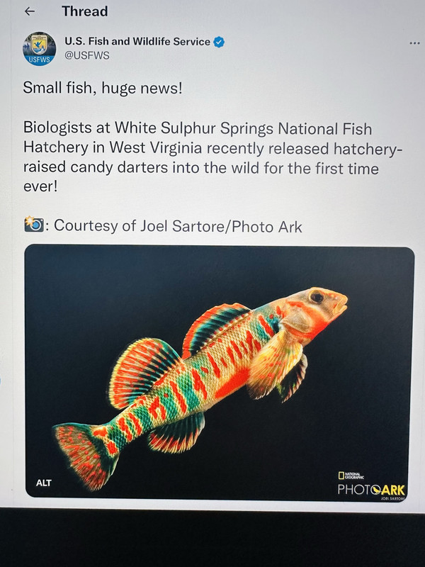 49DC970C-3E2D-4DA6-9877-CF0CD38FBC10