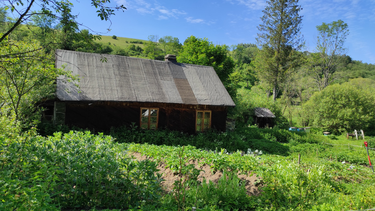 07.24 - IMG_20220618_155424 (Czesio1)