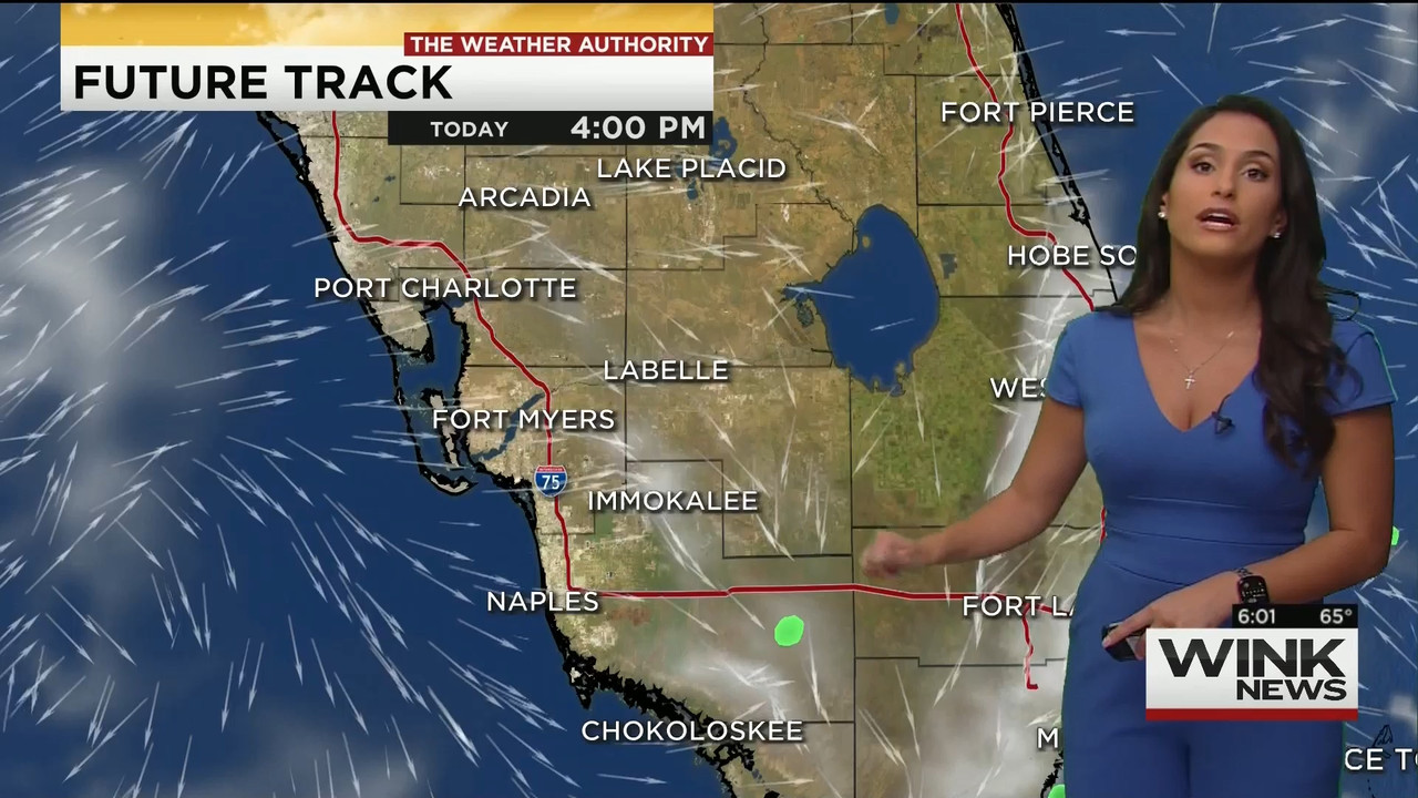11.28 - 11.00.00 - WINK News This Morning..ts_snapshot_02.03.736