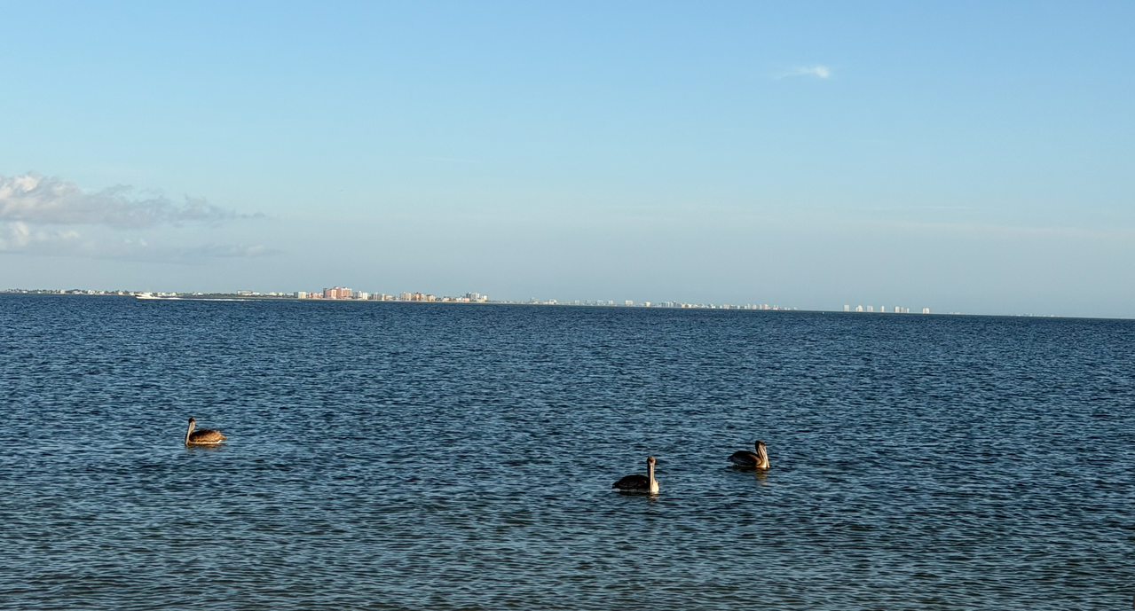 [Image: Sanibel-Island-Bridge3.png]