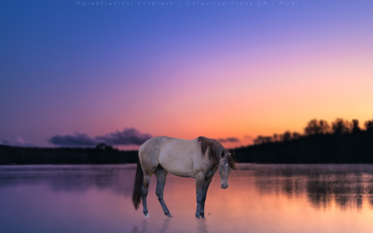 6262CF0B-28C9-44CE-97A4-0CEF9782B703