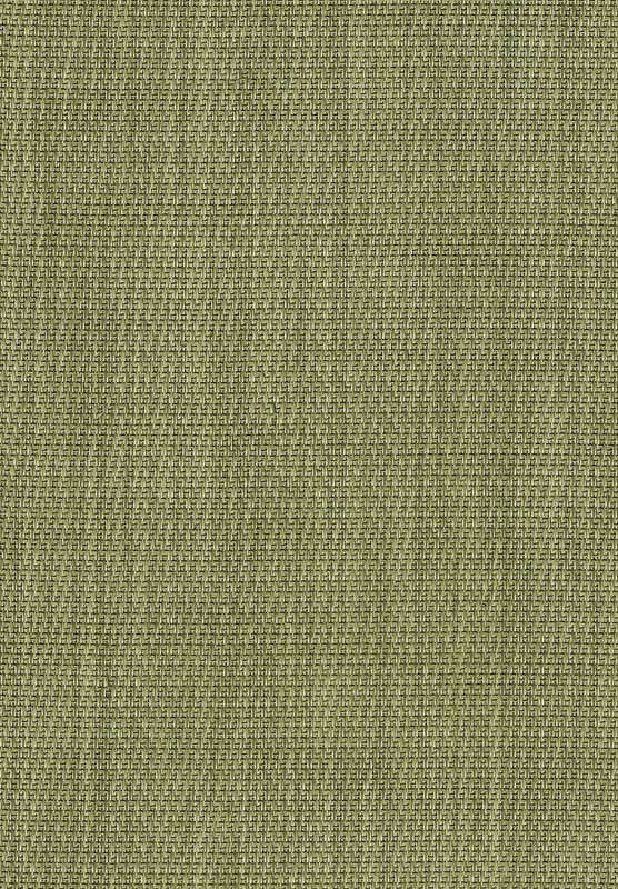 552184_441659222560368_1987327600_n