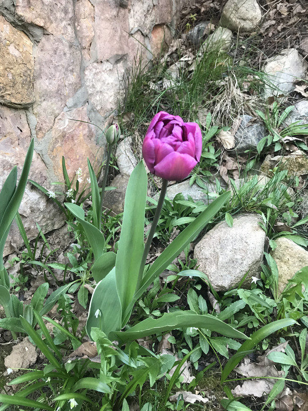 737A4371-B699-46DC-BFAC-782A0B4185CB