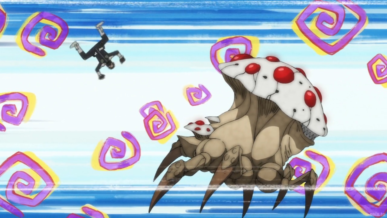lollo.jpg