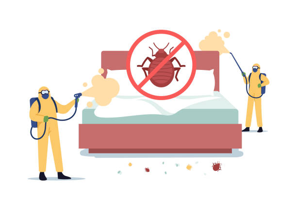 Bed-Bug-control-7.jpg