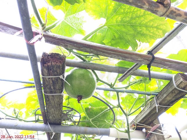 [Image: PXL-20220128-165439307.jpg]