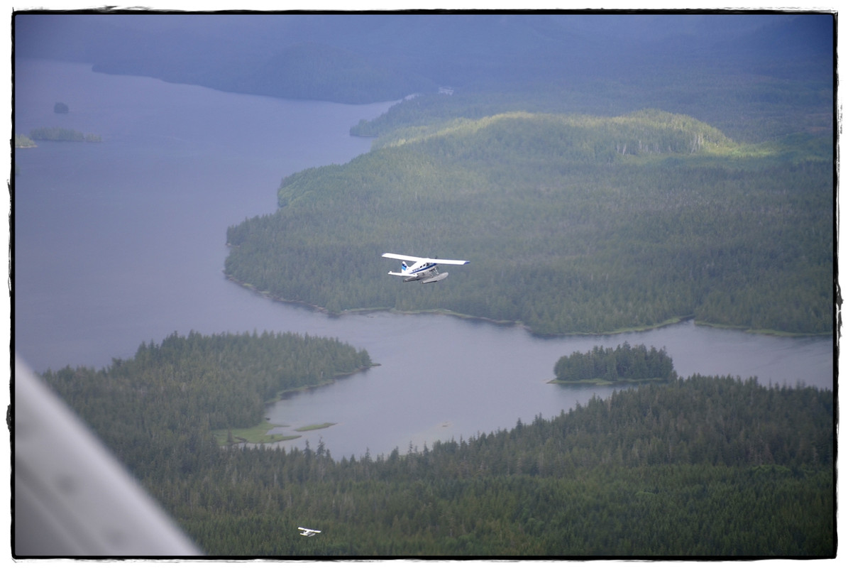 25 de junio. Ketchikan - Alaska por tierra, mar y aire (11)