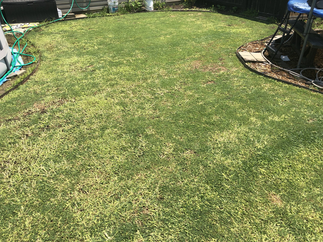 3C909546-C492-4A18-B2DD-90A5F7C727D2