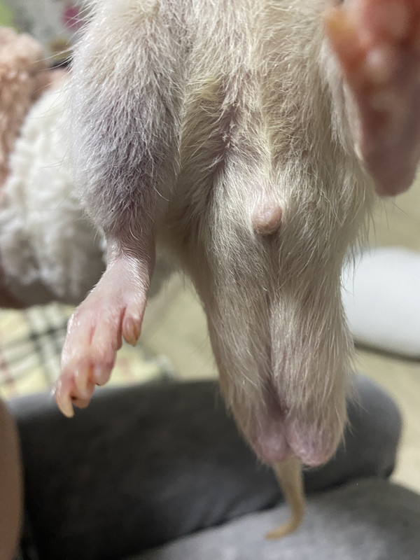 6E4EE449-4982-4AE4-8681-6FA8AAAE9278