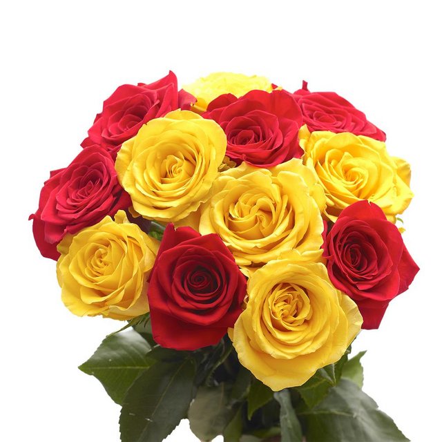 globalrose-flower-bouquets-50-roses-25-yellow-25-red-64-1000.jpg