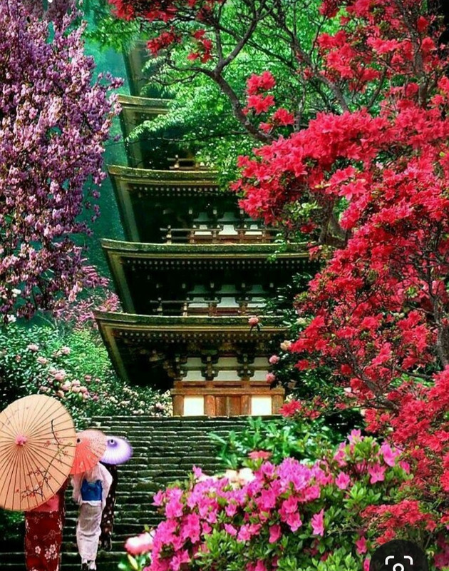 Screenshot_20230409_210113_Pinterest